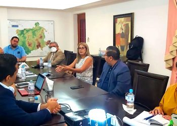 Analizan eliminar repartición de cuotas partidarias en lista de Consejo Nacional de la Judicatura durante reunión de Equipo Ad hoc
