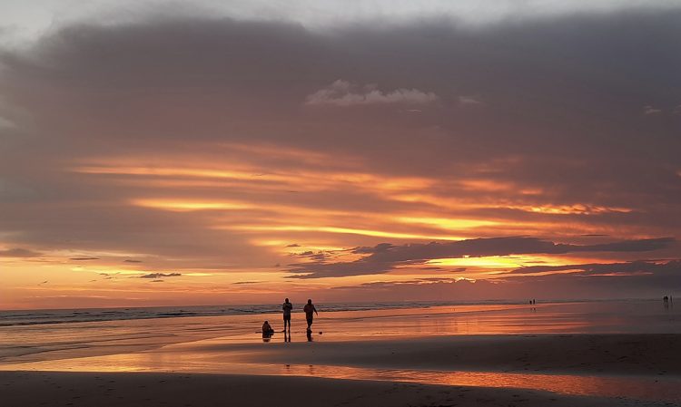 Belleza
Las playas del 
oriente del país 
también son 
opciones para 
que los turistas 
disfruten del 
ambiente y de los 
paisajes.