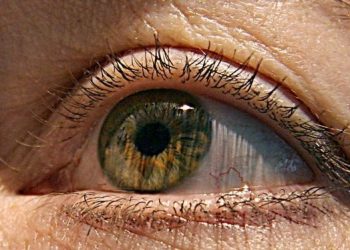 Un paciente ciego recobró parcialmente la vista con terapia optogenética