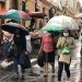 Podcast| Consejos para crear tu propia tienda en línea