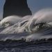 Un surfista muere tras haber sido atacado por un tiburón en Australia