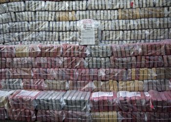 EE. UU. reporta alza récord de cultivos de coca y producción de cocaína en Colombia