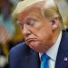 Trump retira su propio blog de internet