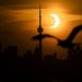 Fotos: Un eclipse solar parcial se observa sobre el hemisferio norte