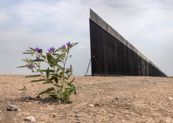 Trump viaja a la frontera con México para criticar la política migratoria de Biden