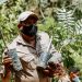 Día del medio ambiente: plantan árboles para restaurar los ecosistemas en El Salvador