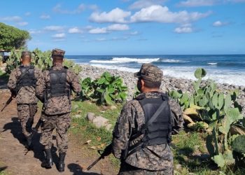 Fuerza Armada ha incautado 899 armas de fuego en dos años del Plan Control Territorial