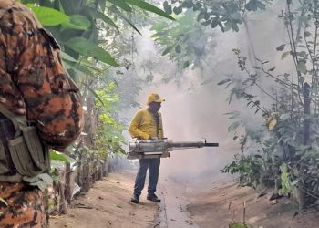 Reos en fase de confianza realizan jornada de fumigación en el departamento de La Paz