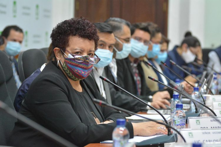 Ministra de Salud, Amelia Flores, en citatorio en el Congreso. Foto Ministerio de Salud.