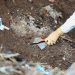 Autoridades encuentran el cuerpo de Flor María García tras realizar labores de excavación