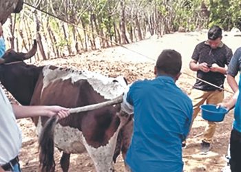 Ganaderos de Ahuachapán son capacitados para mejorar producción