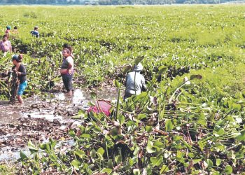 La alcaldía y comunidades llevan a cabo limpieza en laguna de Metapán