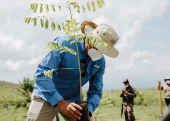 Lanzan campaña de reforestación en el Día Mundial del Medio Ambiente