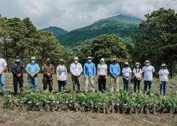 Ministerio de Medio Ambiente lanzó campaña de reforestación «Árboles para El Salvador»