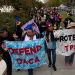 Comité judicial del Senado de EE.UU. discutirá ley con camino a la residencia permanente de DACA y TPS