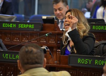 Diputada de ARENA genera desorden en sesión plenaria