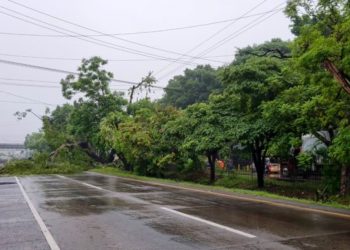 Árboles caídos en Lourdes provocan hasta tres horas de tráfico en ruta a Santa Ana