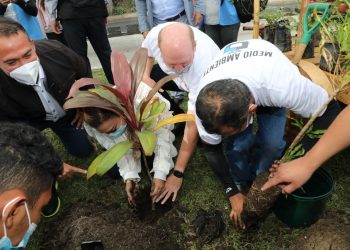 Alcaldía de Soyapango celebra el Día Nacional del Árbol