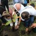 Alcaldía de Soyapango celebra el Día Nacional del Árbol