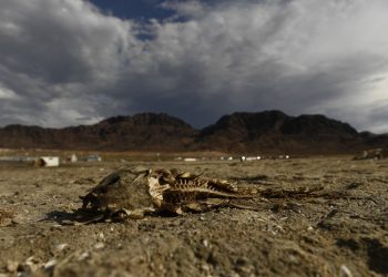 Los «signos vitales» de la Tierra se están debilitando, según científicos