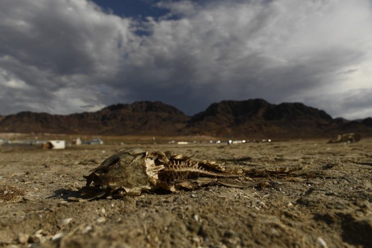 Foto / AFP