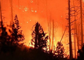 Incendios en EE. UU. demuestran que hay que «combatir» la crisis climática, dice Biden