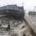 Tormenta tropical Elsa azota costa este tras matar 1 persona en Florida