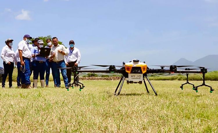 Los drones pueden realizar aplicaciones de producto en hasta tres hectáreas de terreno en vuelos de 15 minutos./Foto: Diario El Salvador.