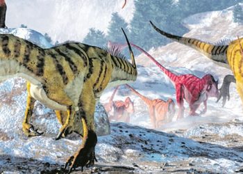 Los dinosaurios fueron víctimas del frío antes del impacto del meteorito