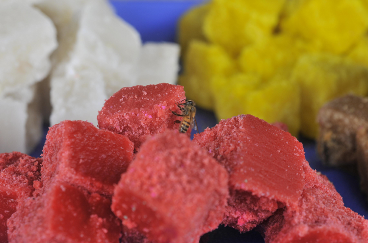 Diferentes dulces y platillos se pueden preparar en casa