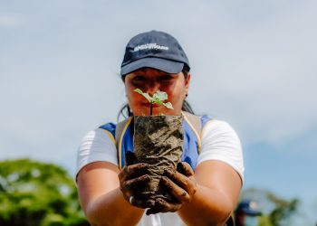 Medio Ambiente invita a formar parte del voluntariado para su campaña «Árboles para El Salvador»