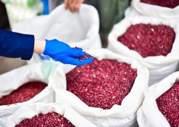 Inspeccionan los precios de granos básicos en negocios mayoristas de San Salvador