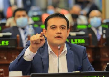 Milena de Escalón «dirigía la ONG, se enviaba la solicitud de dinero y la autorizaba ella misma»: diputado Raúl Castillo