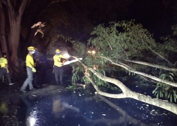 Se mantiene alerta verde por lluvias y las zonas de riesgo son monitoreadas