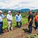 Ministerio de Agricultura  inicia Plan Maestro de Rescate Agropecuario en Chalatenango