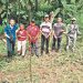 Reforestan nacimientos de agua en Sensembra