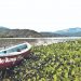 Alcaldía de El Carmen hará un festival en la laguna de Olomega