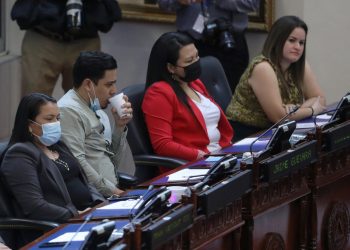 Control de fondos divide a la bancada del FMLN, dice Nuevas Ideas
