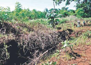 Alcaldía de Moncagua solucionará problema de nichos con víctimas de COVID