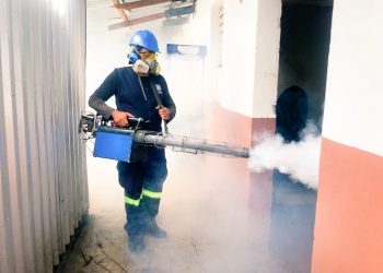 Alcaldía de San Salvador realizó jornada de fumigación
