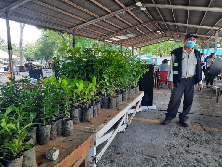 Foto: Jeanette Rodríguez/Diario El Salvador