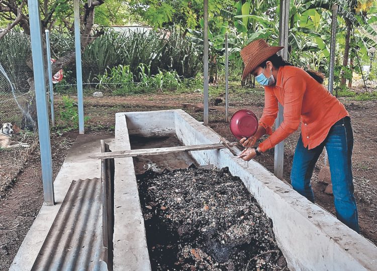El abono resultante es libre de componentes químicos y tiene diversos nutrientes naturales. Fotos: Juan Carlos Díaz.