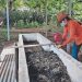 Productora de abono orgánico protege laguna con su trabajo