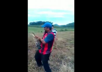 Ministerio de Medio Ambiente investiga posible agresión a animales silvestres en San Miguel
