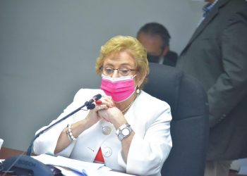 Milena de Escalón presidía oenegé que fue beneficiada con dinero público, afirma diputado Caleb Navarro