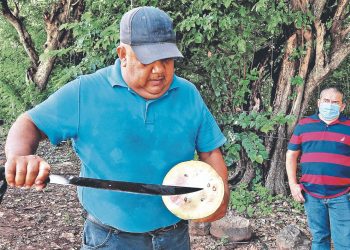 Plan listo contra hongo en plantaciones de sandía en Intipucá, La Unión