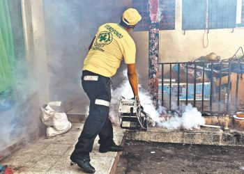 Fumigan y abatizan 1,500 viviendas de Lolotique, San Miguel