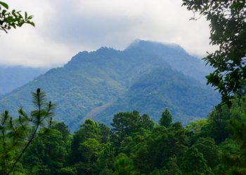 Fotos: Cerro El Malcotal, un refugio de altura para la diversidad de especies silvestres