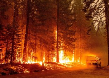 Bomberos de todo EE. UU. acuden para sofocar incendio