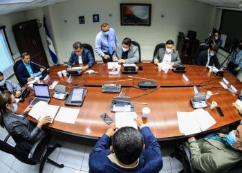 Comisión de Salud recibe expediente de «Nacer con Cariño»